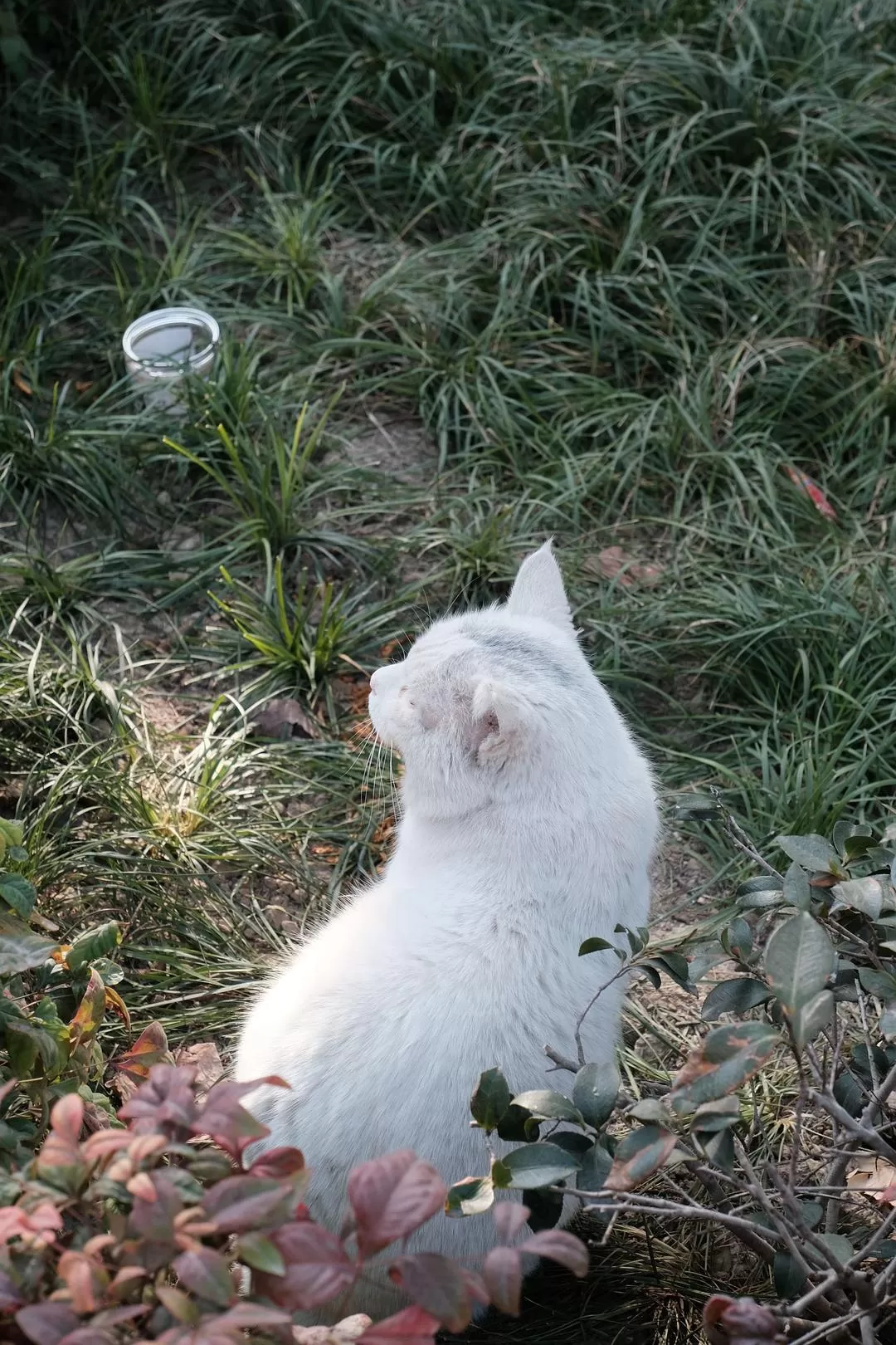 旅游推荐一人游：西安四日🧧游