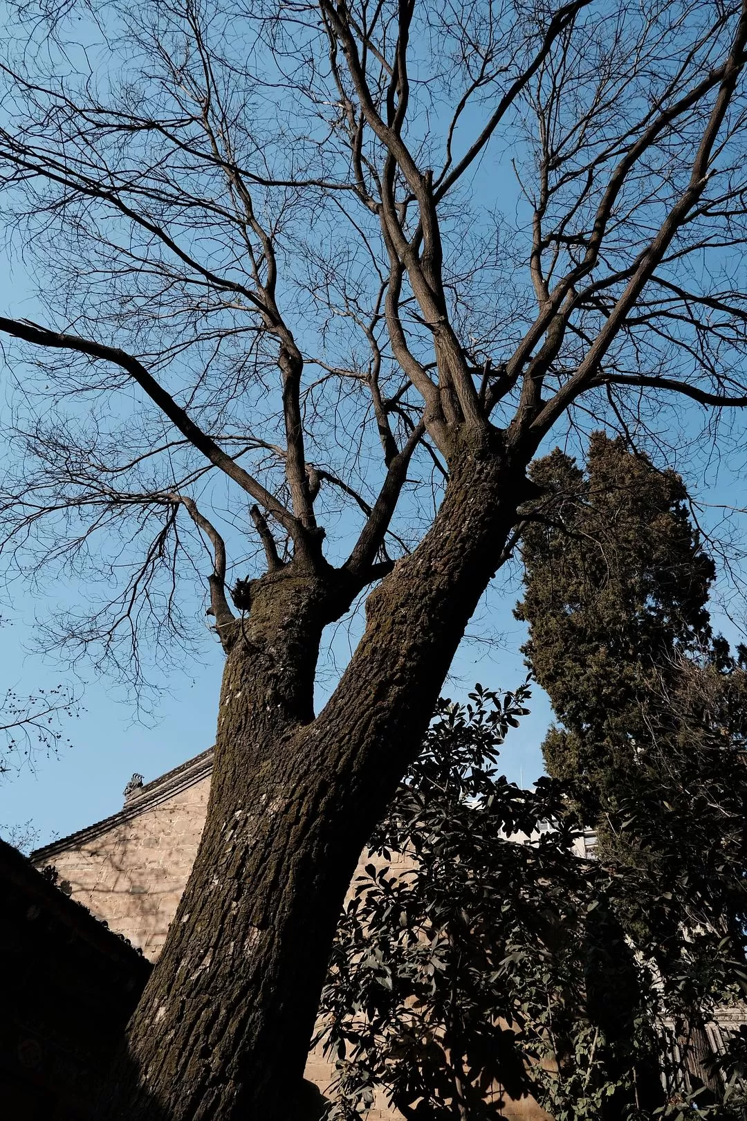 旅游推荐一人游：西安四日🧧游