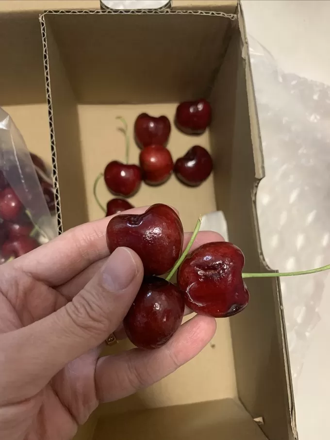 🥈京东自营的车厘子真的可以放心买坏了10颗都保售后爱死东哥了