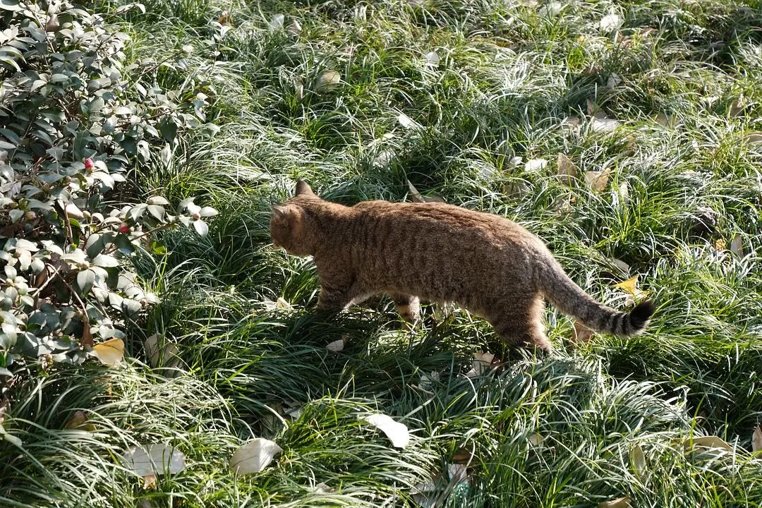 旅游推荐一人游：西安四日🧧游