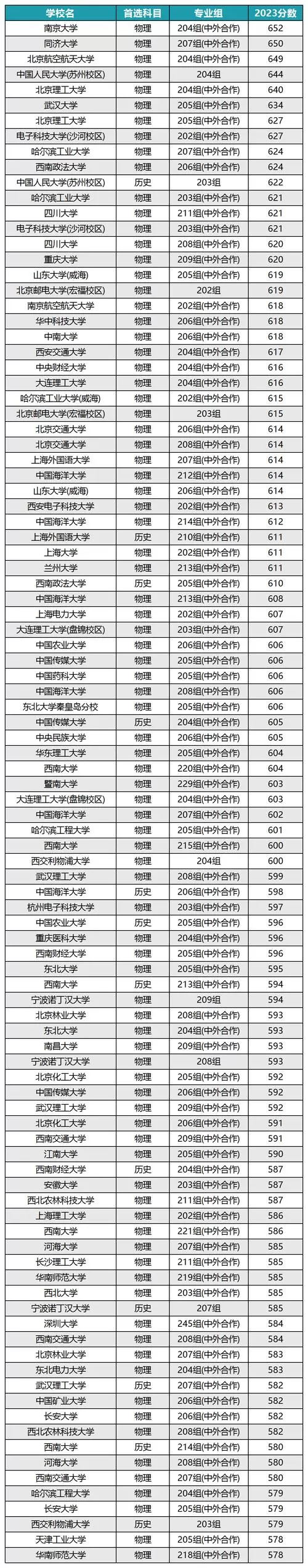 211大学中外合作办学项目