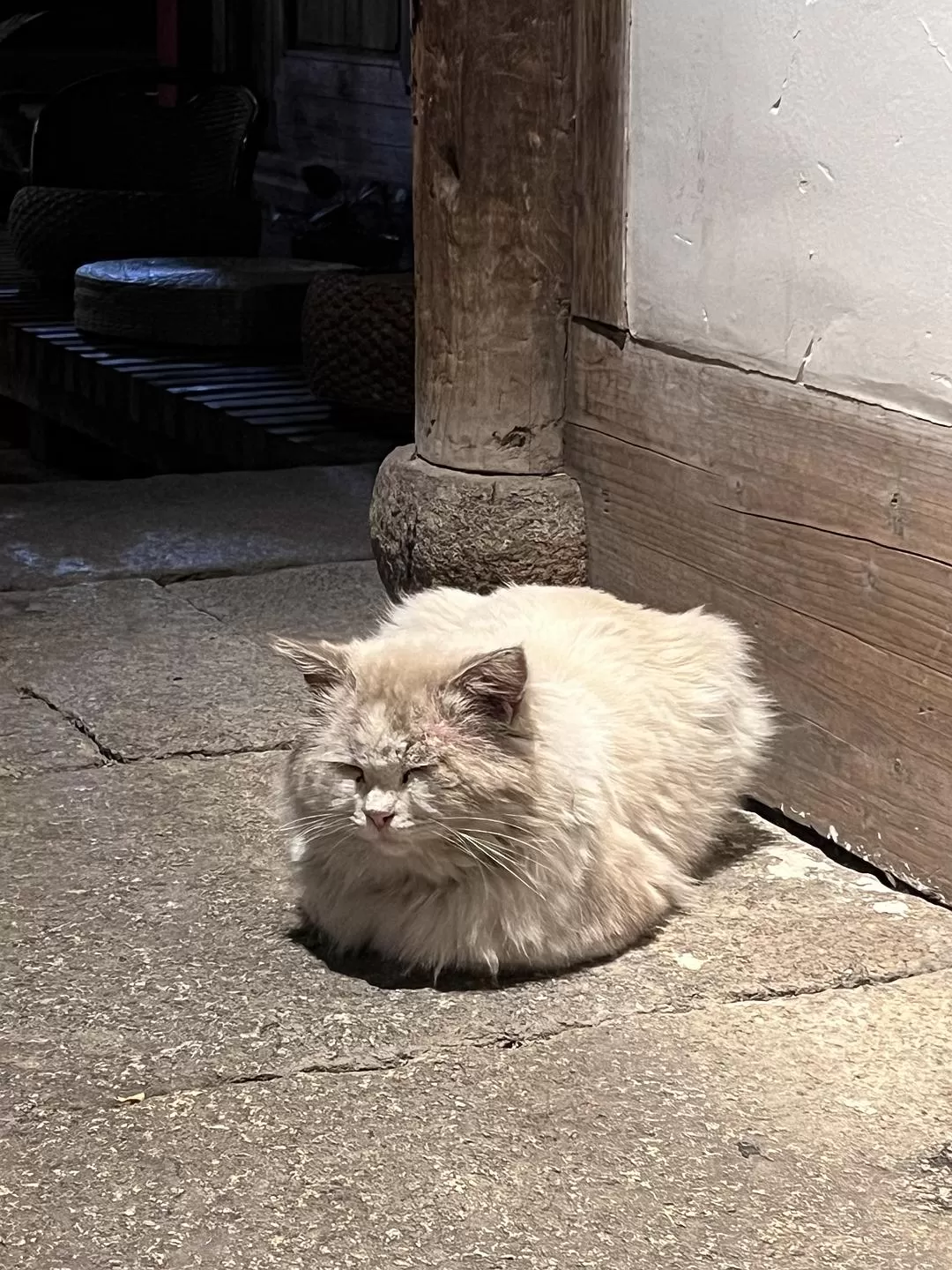 旅游推荐12月末福🏆建泉州 ：过于开心的泉州之旅