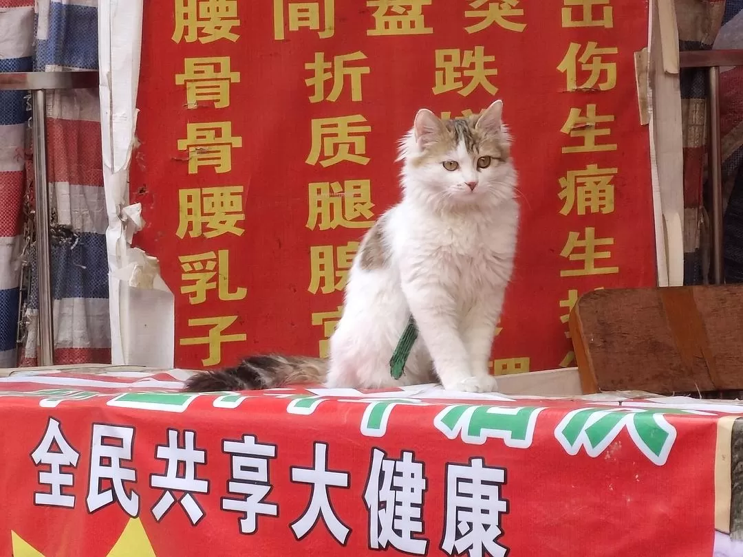 旅游推💗荐两人游：柳州食记丨永远年轻，永远大吃特吃