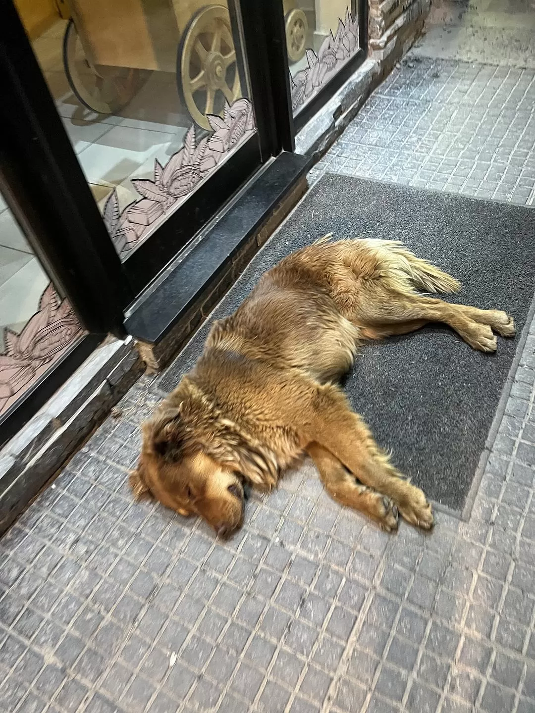 旅游推荐国⚡外游：南美洲三國遊流水賬(巴西、阿根廷、智利) - 更新ing