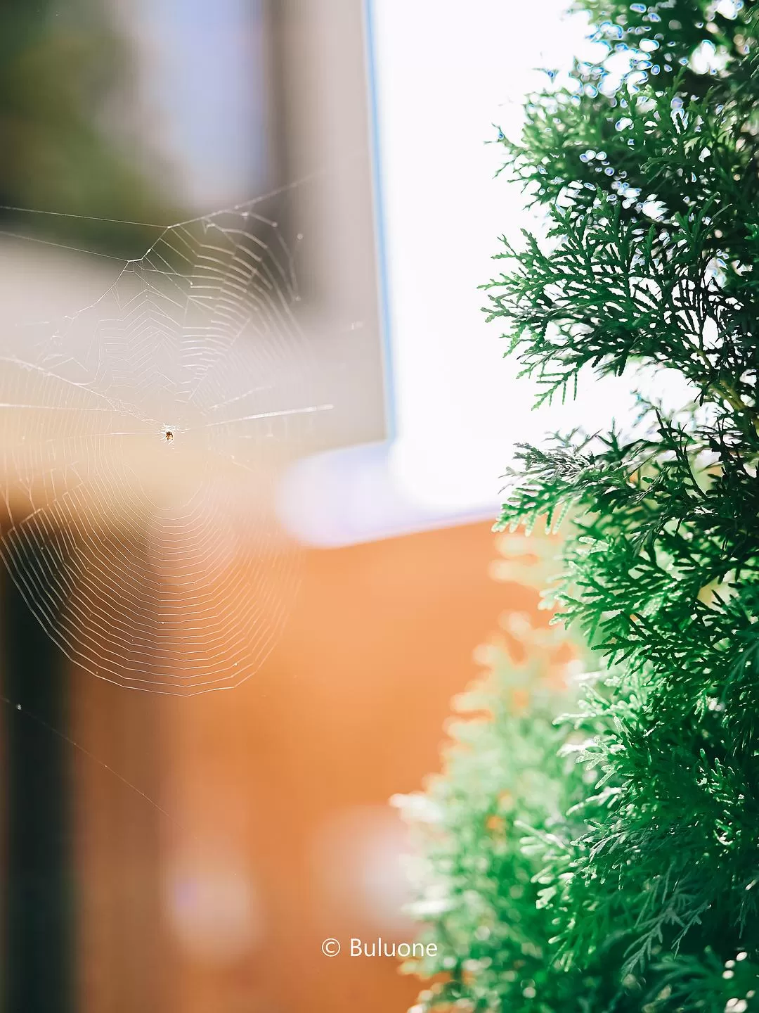 旅游推荐国外游🏆：亚美尼亚小众游(美图版)