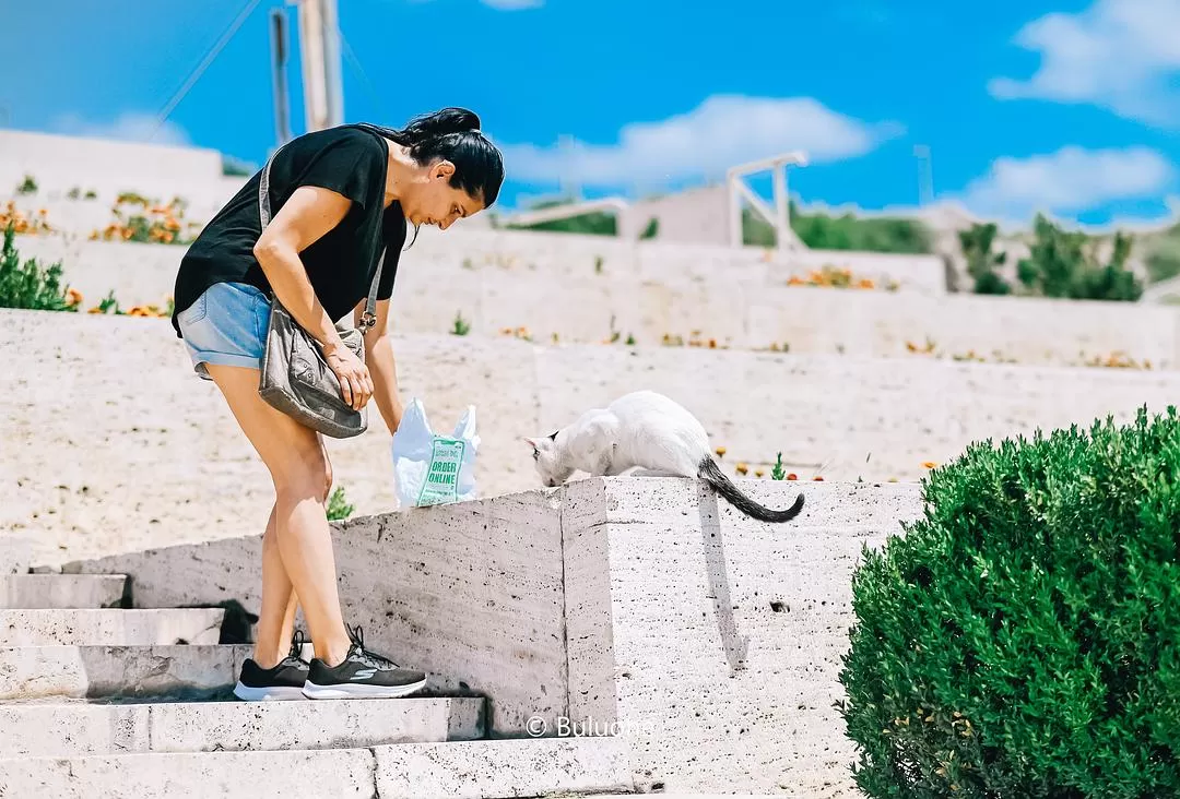 旅游推荐国外游🏆：亚美尼亚小众游(美图版)