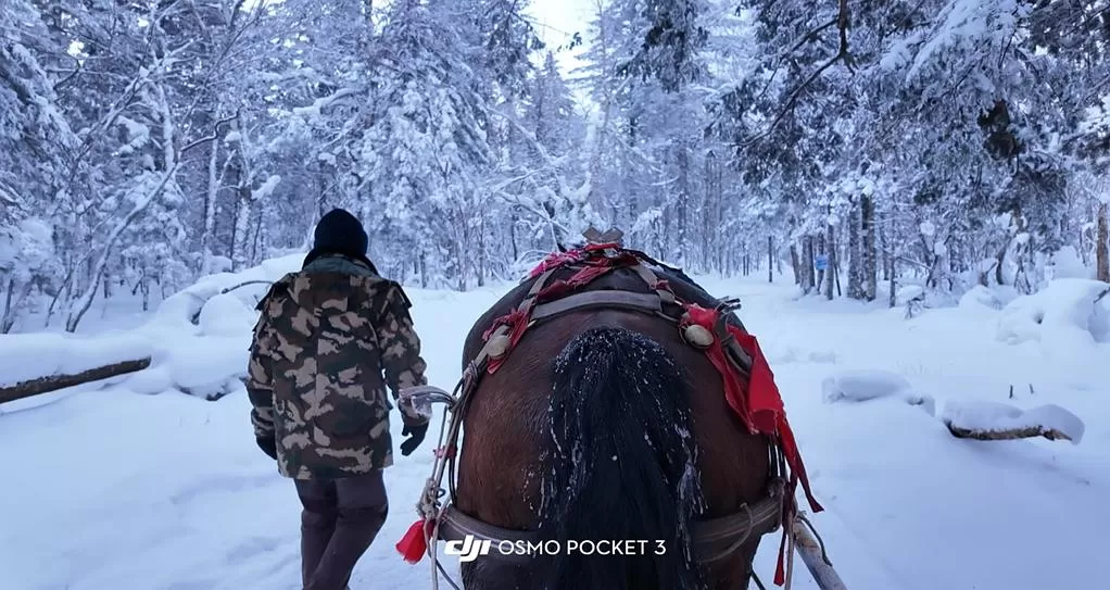 旅游推荐两🌟人游：长白山的盲盒之旅