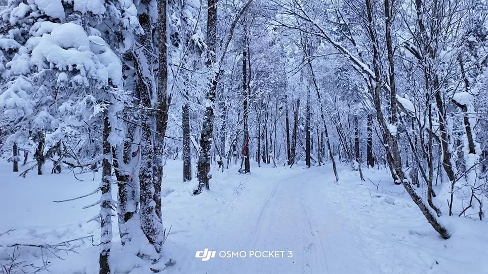 旅游推荐两🌟人游：长白山的盲盒之旅