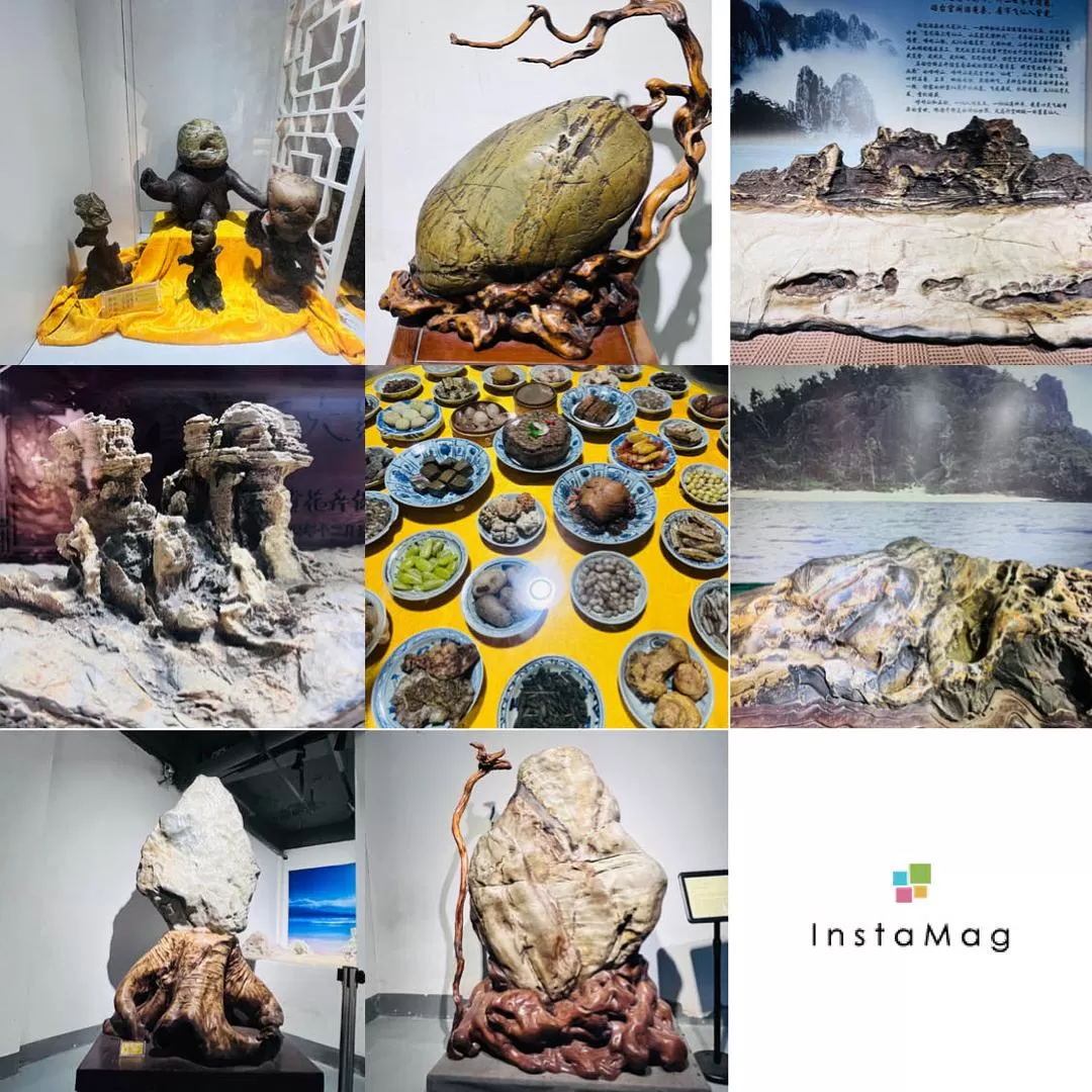 旅游推荐4天三夜 厦门⚡漳州之旅-不穷游也不富游的旅游攻略-day2