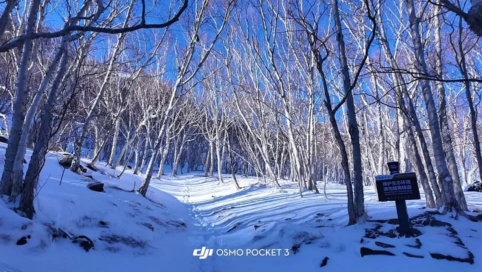 旅游推荐两🌟人游：长白山的盲盒之旅