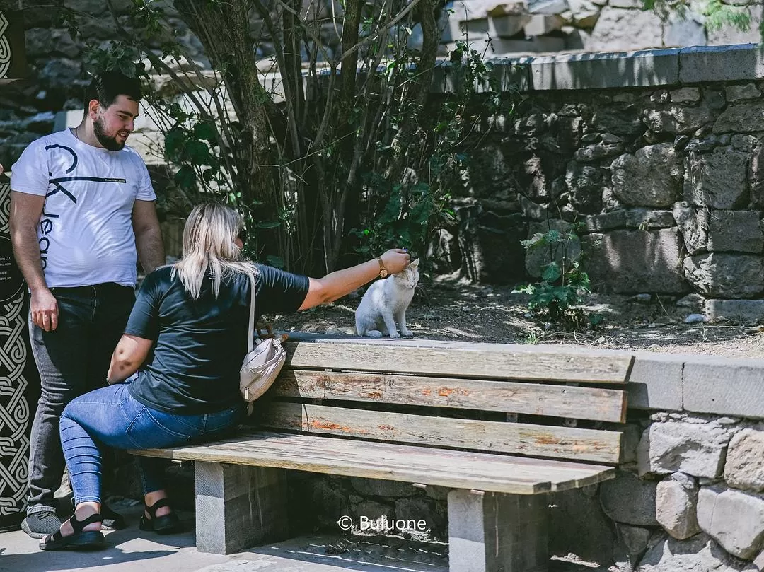 旅游推荐国外游🏆：亚美尼亚小众游(美图版)