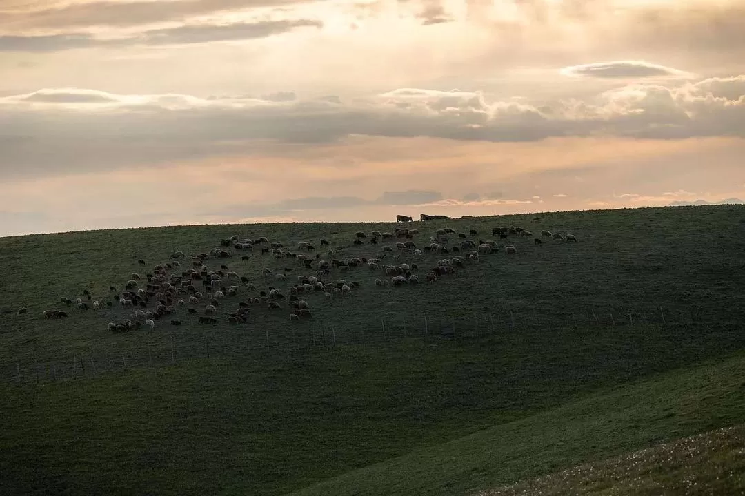 旅游推荐一人游：新📢疆伊犁：windows桌面生成器罢了