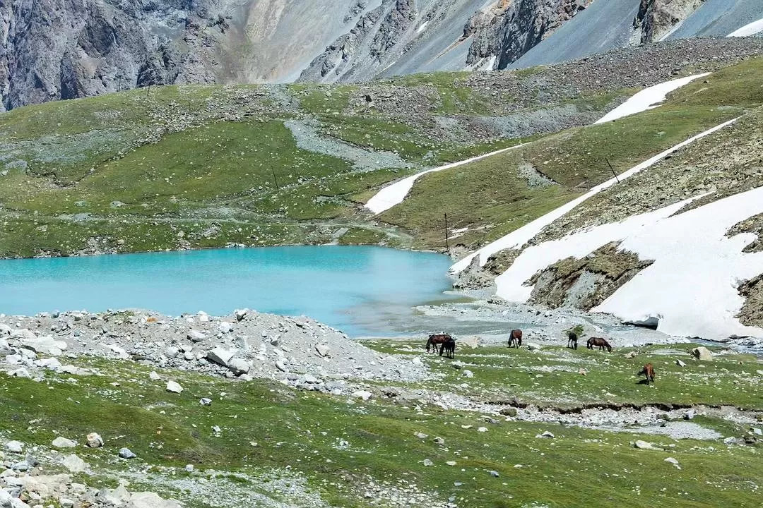 旅游推荐一人游：新📢疆伊犁：windows桌面生成器罢了