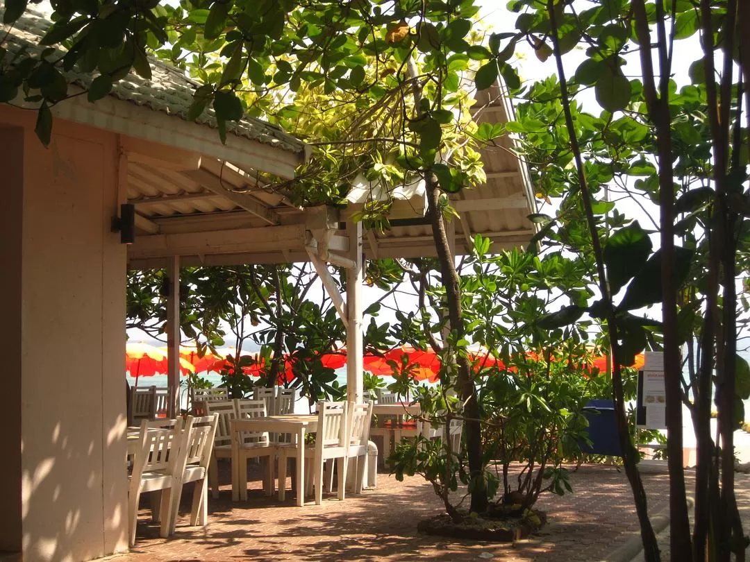 旅游推荐国外游：2024📢旅游总结 去了亚庇曼谷芭提雅印尼釜山俄罗斯（建设中