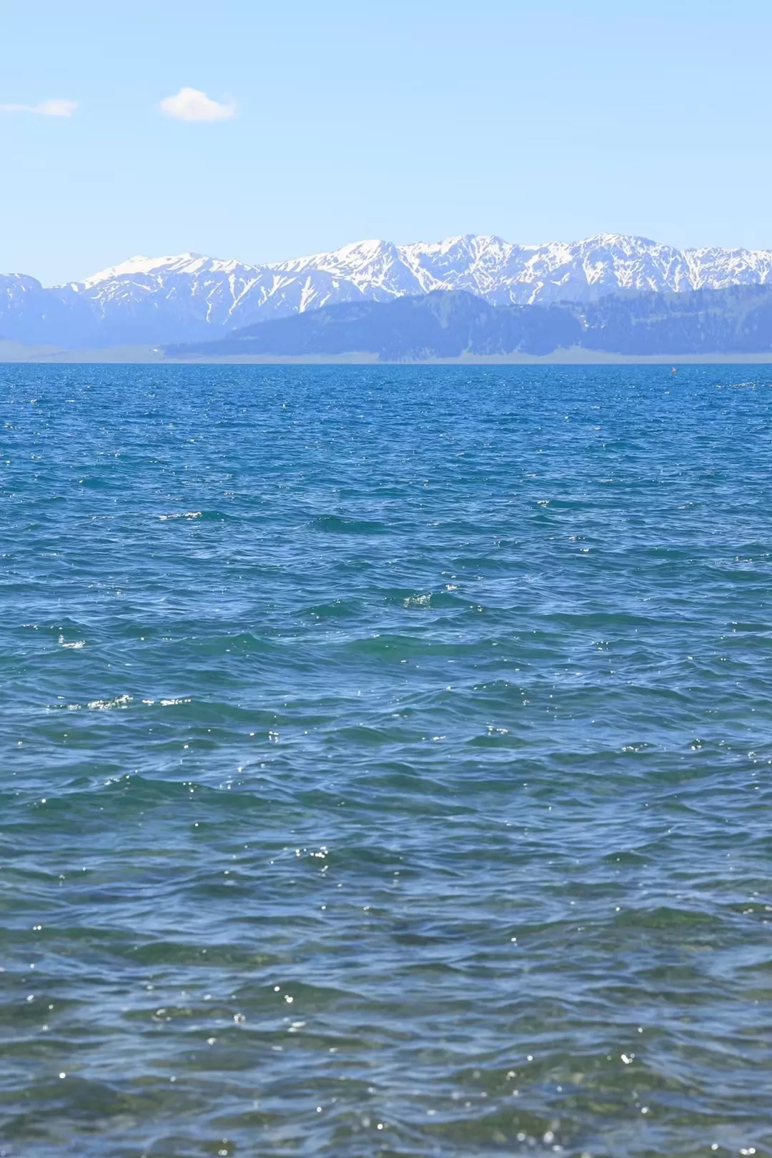 旅游推荐一人游：新📢疆伊犁：windows桌面生成器罢了