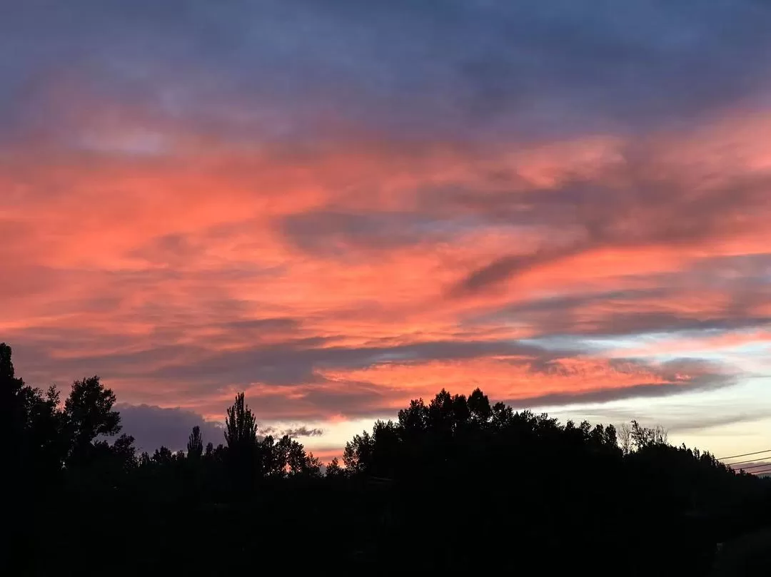 旅游推荐一人游：新📢疆伊犁：windows桌面生成器罢了