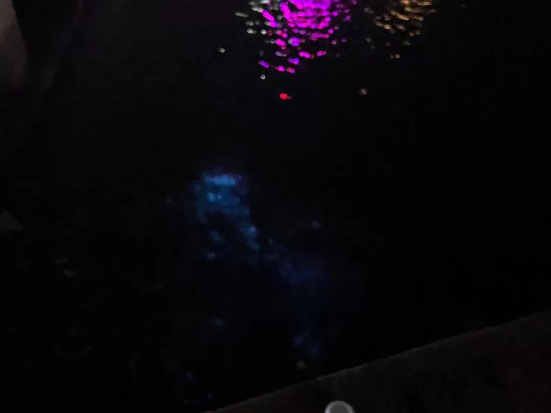 旅游💢推荐两人游：日照的日出好惊艳