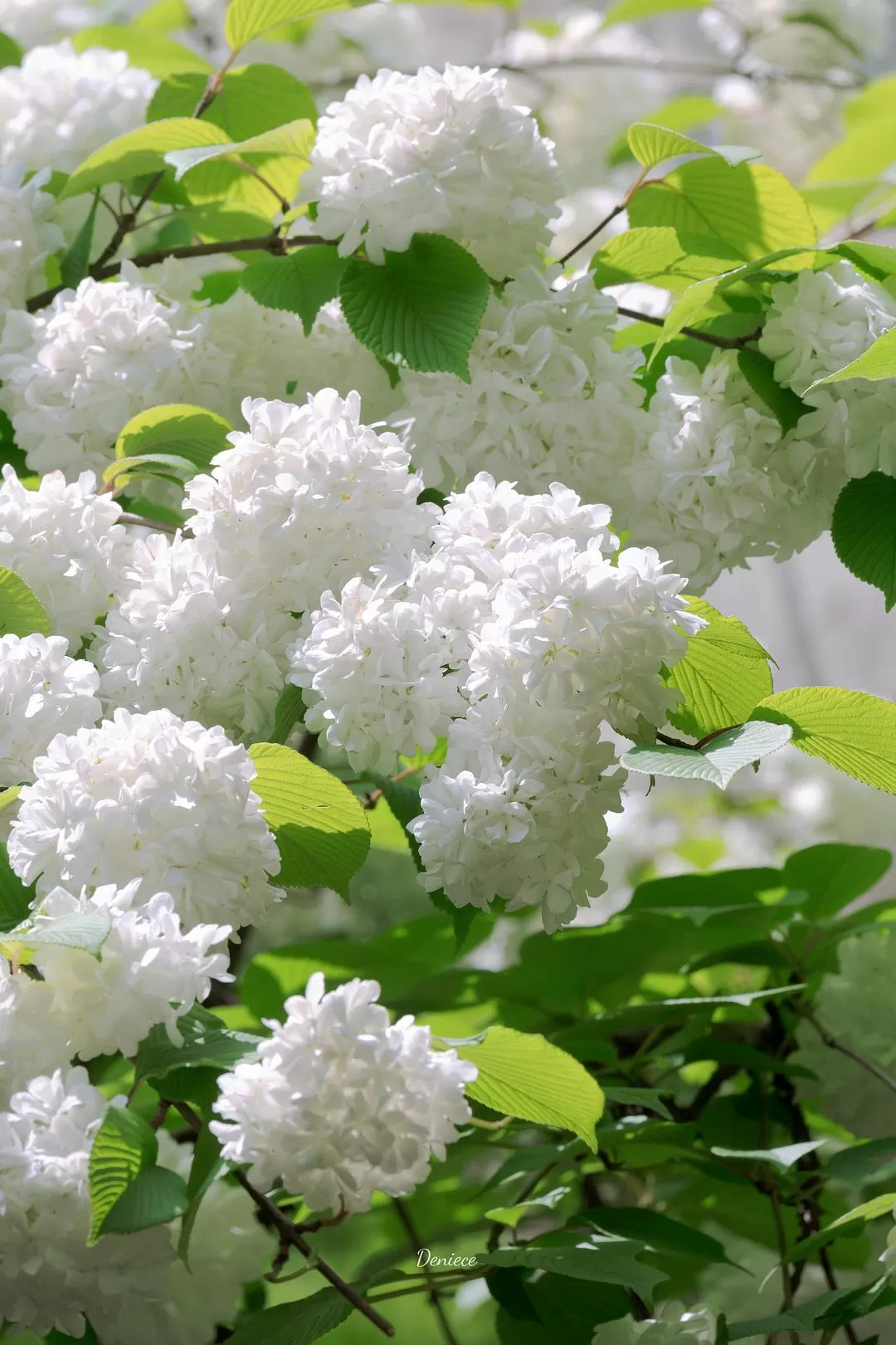 旅㊙️游推荐两人游：无锡游记