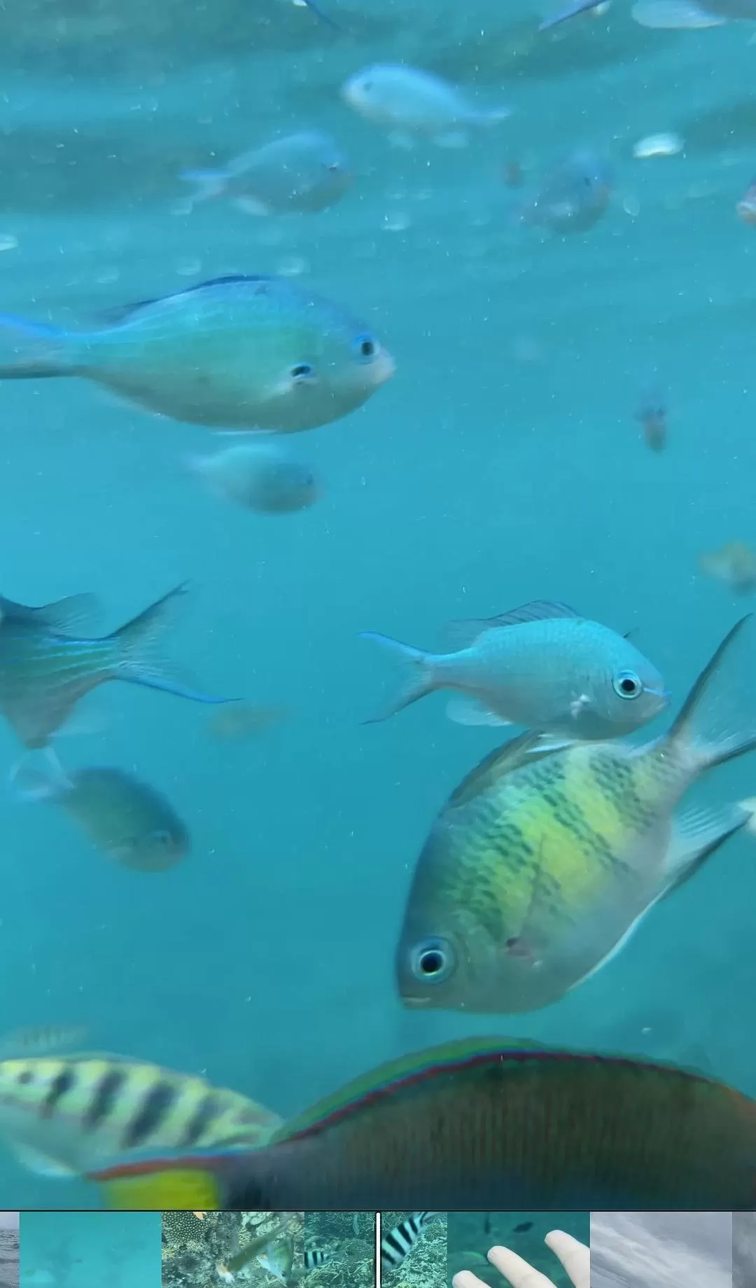 旅游推荐国外游：2024📢旅游总结 去了亚庇曼谷芭提雅印尼釜山俄罗斯（建设中