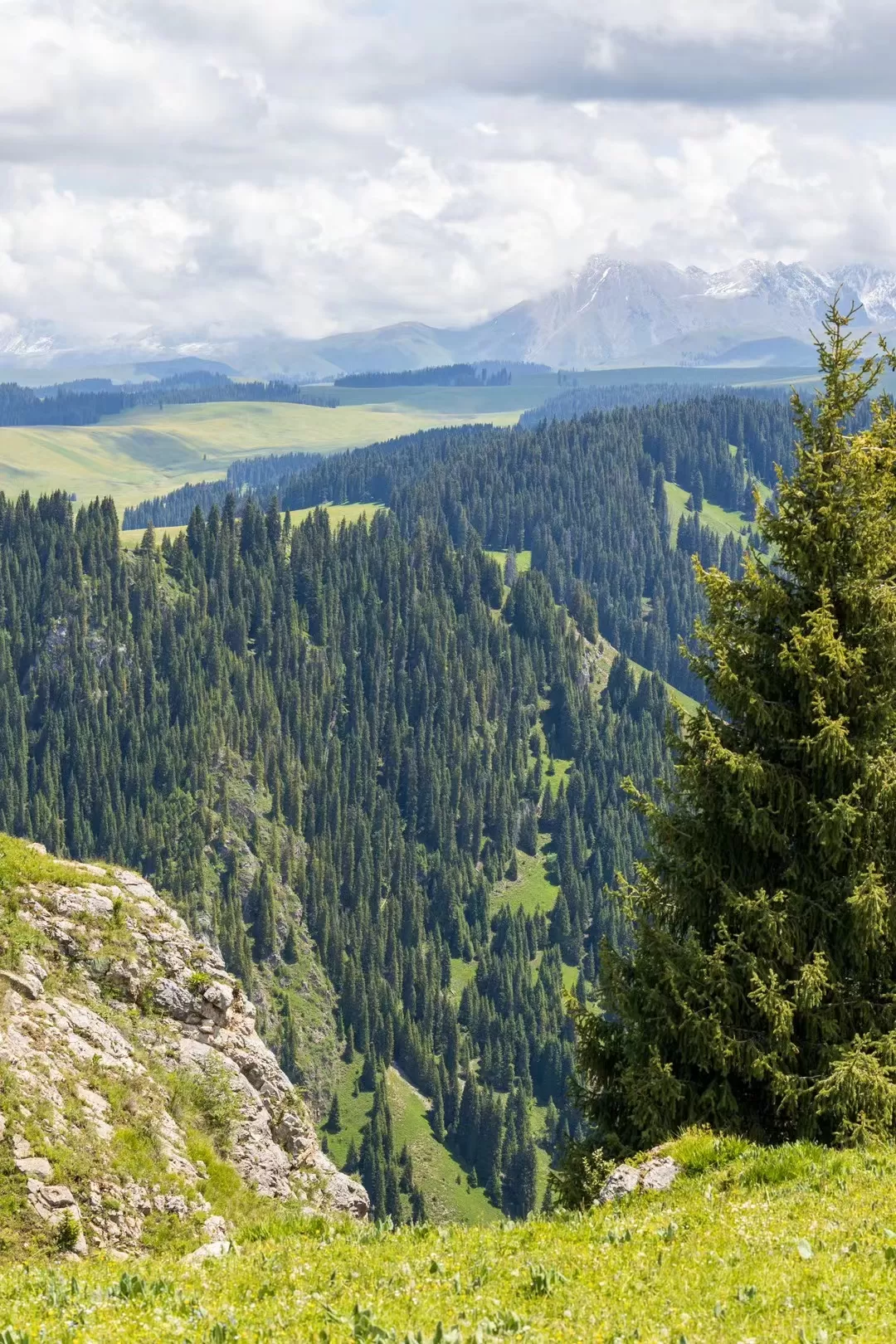 旅游推荐一人游：新📢疆伊犁：windows桌面生成器罢了