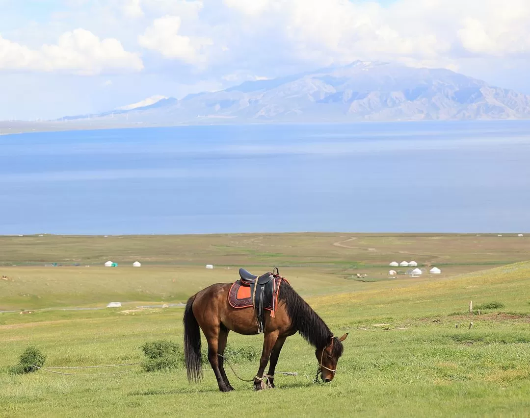 旅游推荐一人游：新📢疆伊犁：windows桌面生成器罢了
