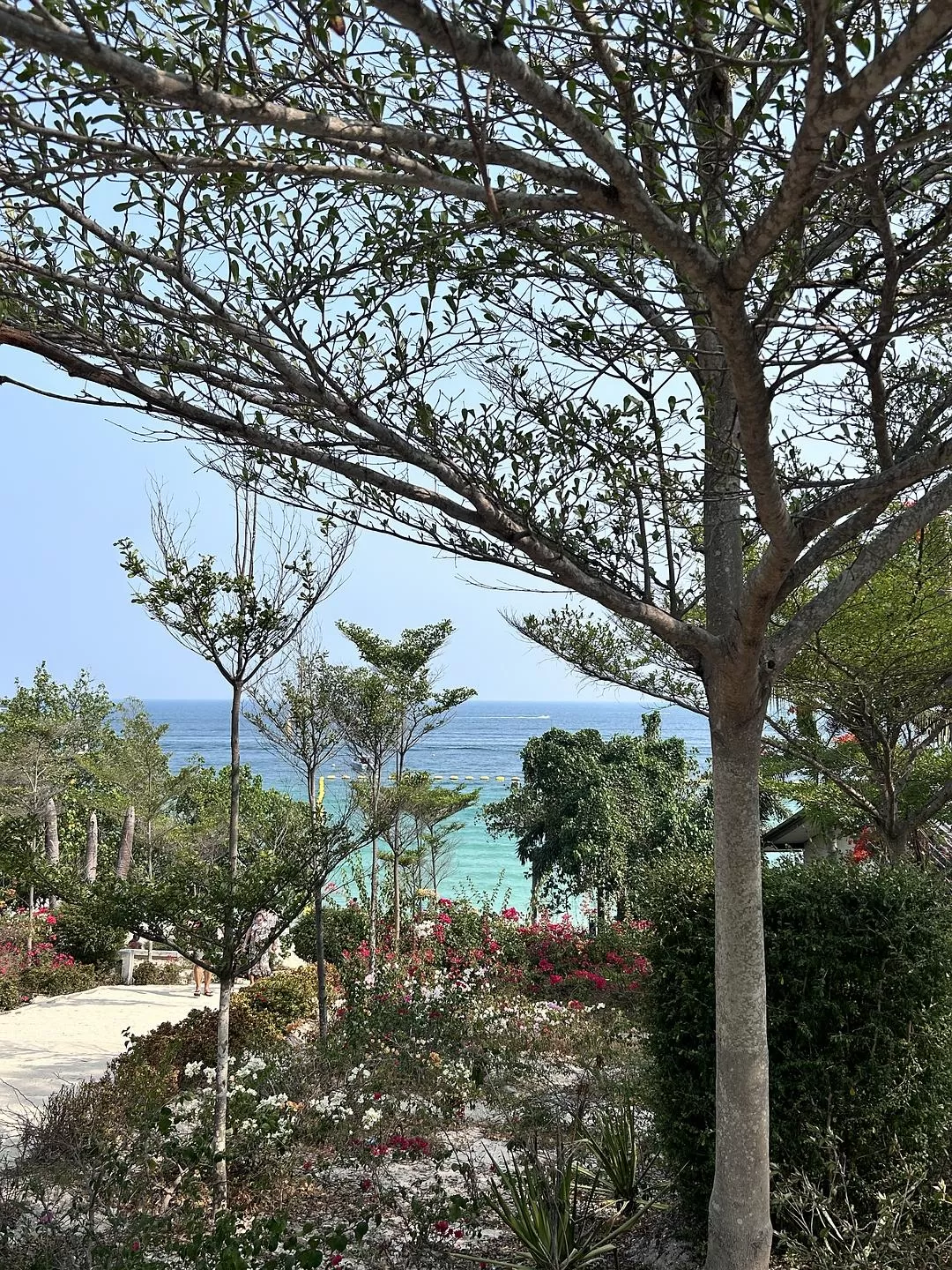 旅游推荐国外游：2024📢旅游总结 去了亚庇曼谷芭提雅印尼釜山俄罗斯（建设中