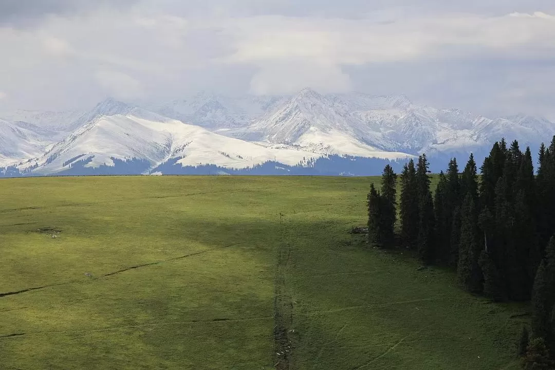 旅游推荐一人游：新📢疆伊犁：windows桌面生成器罢了