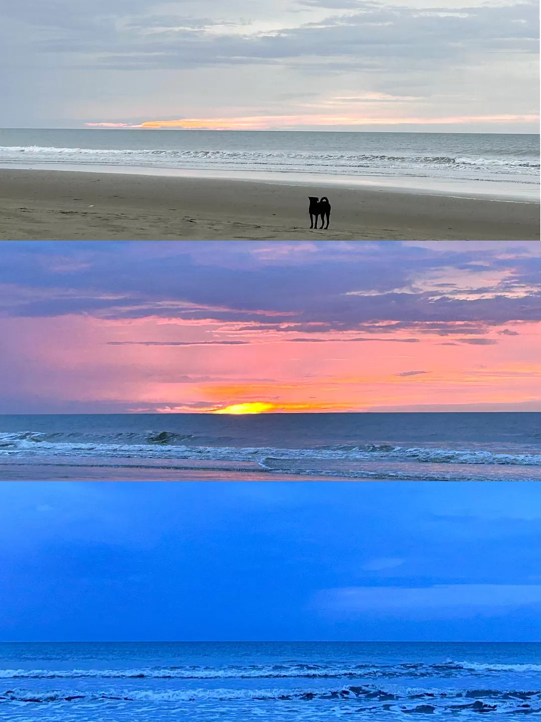 旅游推荐国外游：2024📢旅游总结 去了亚庇曼谷芭提雅印尼釜山俄罗斯（建设中