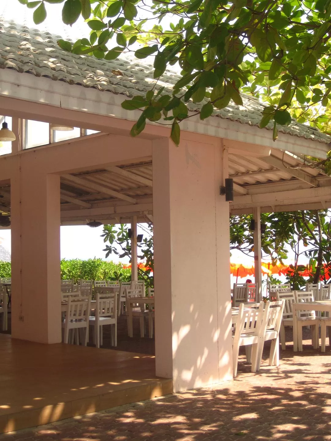 旅游推荐国外游：2024📢旅游总结 去了亚庇曼谷芭提雅印尼釜山俄罗斯（建设中