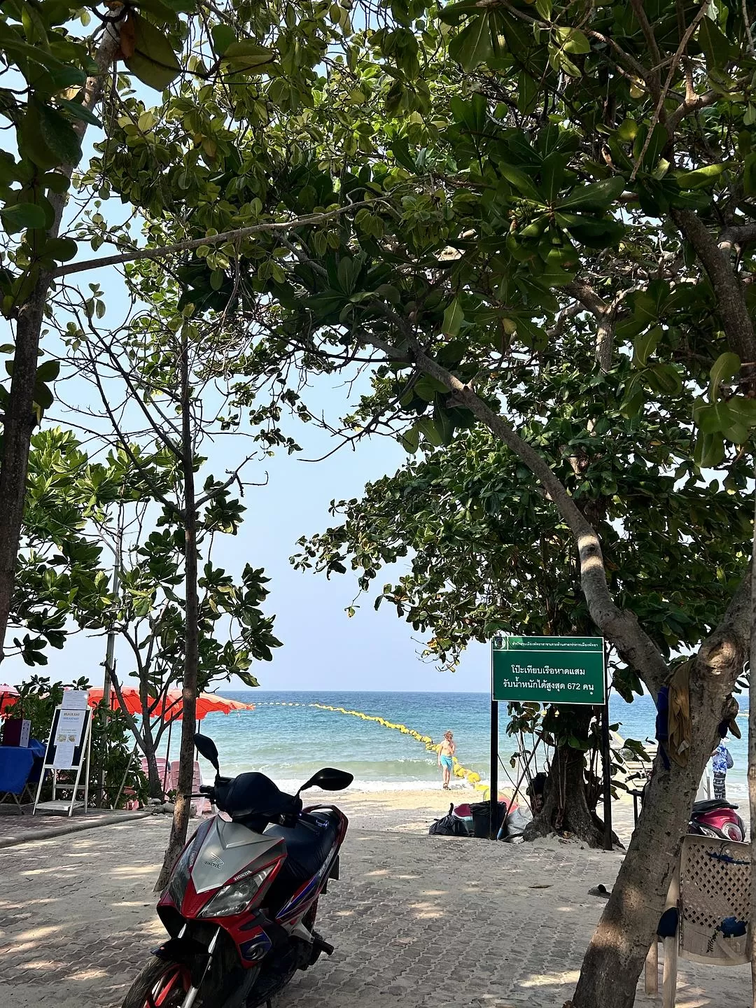 旅游推荐国外游：2024📢旅游总结 去了亚庇曼谷芭提雅印尼釜山俄罗斯（建设中