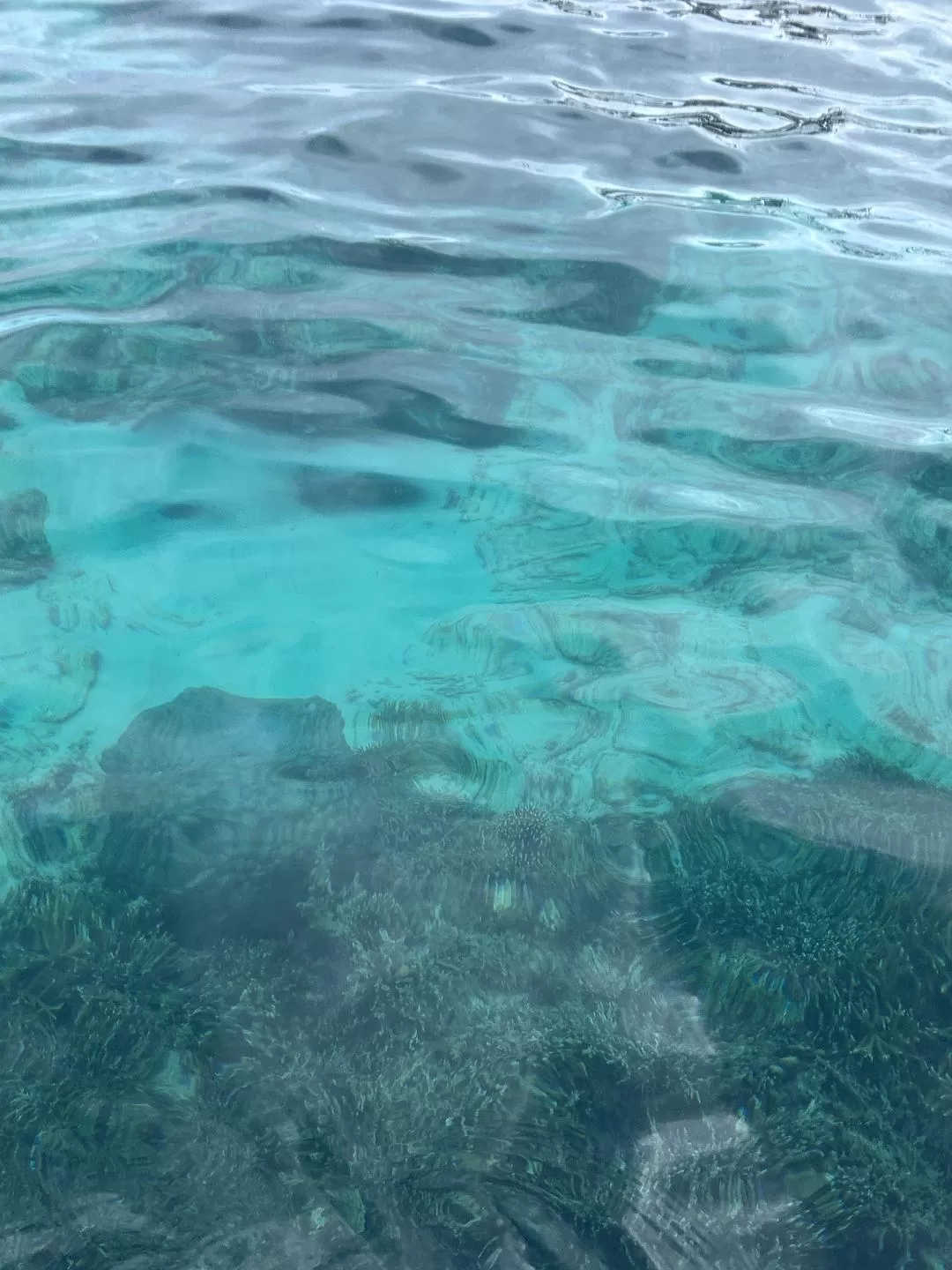 旅游推荐国外游：2024📢旅游总结 去了亚庇曼谷芭提雅印尼釜山俄罗斯（建设中