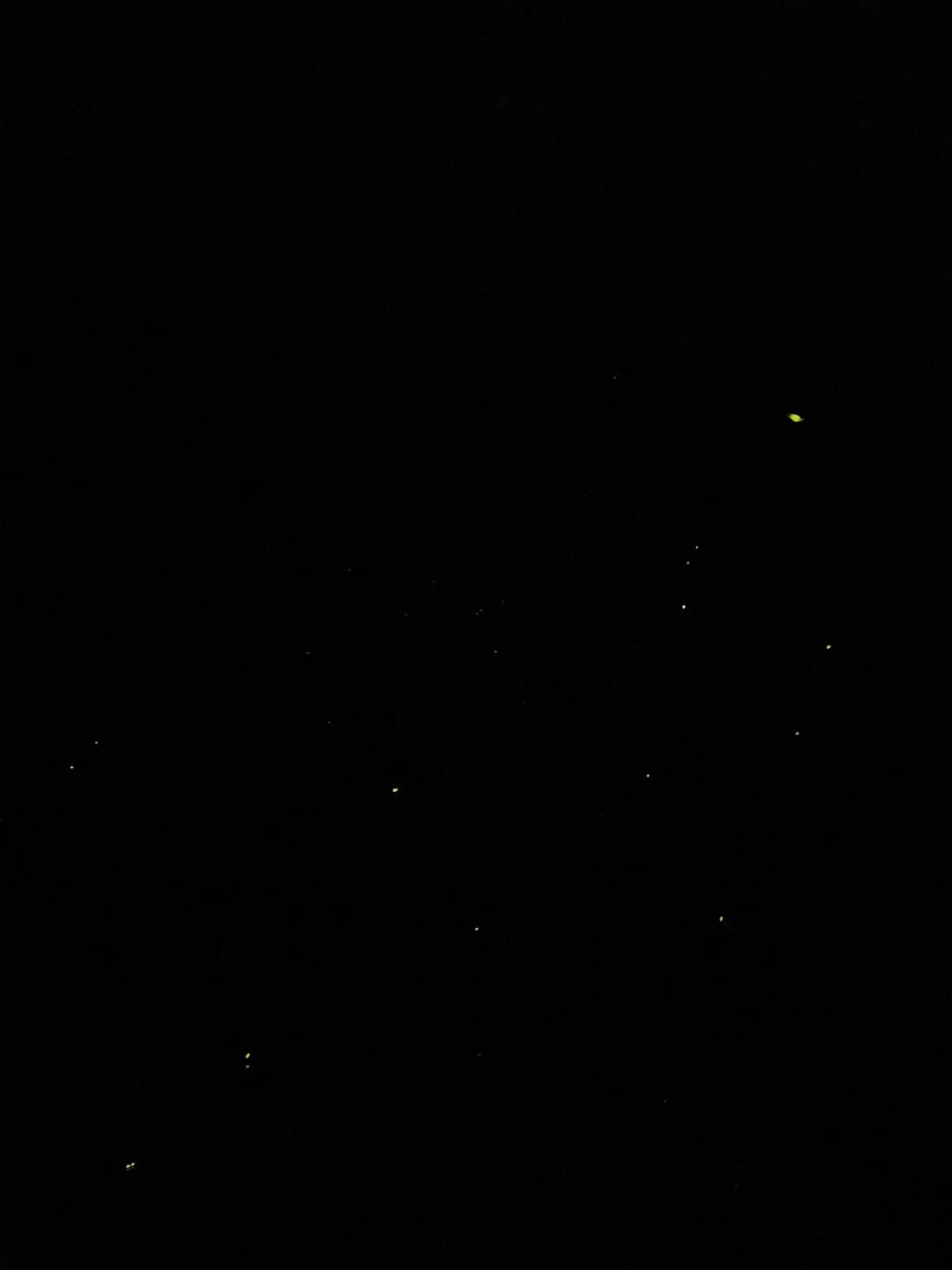 旅游推荐国外游：2024📢旅游总结 去了亚庇曼谷芭提雅印尼釜山俄罗斯（建设中