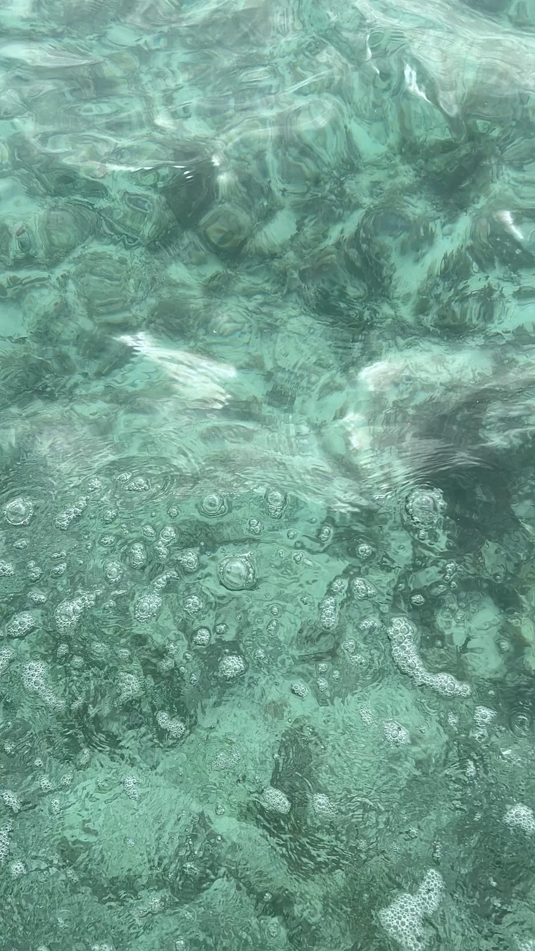 旅游推荐国外游：2024📢旅游总结 去了亚庇曼谷芭提雅印尼釜山俄罗斯（建设中