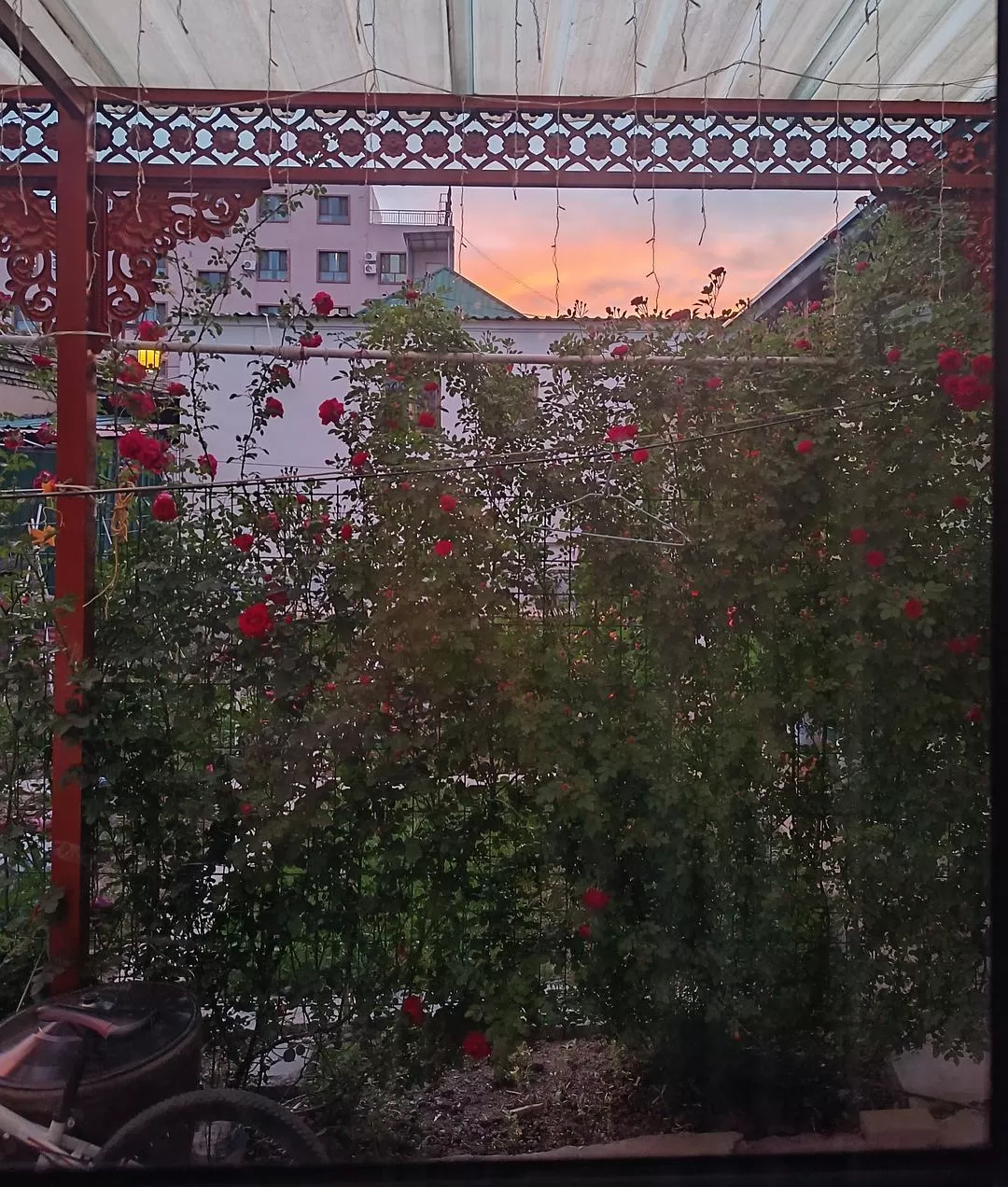 旅游推荐一人游：新📢疆伊犁：windows桌面生成器罢了