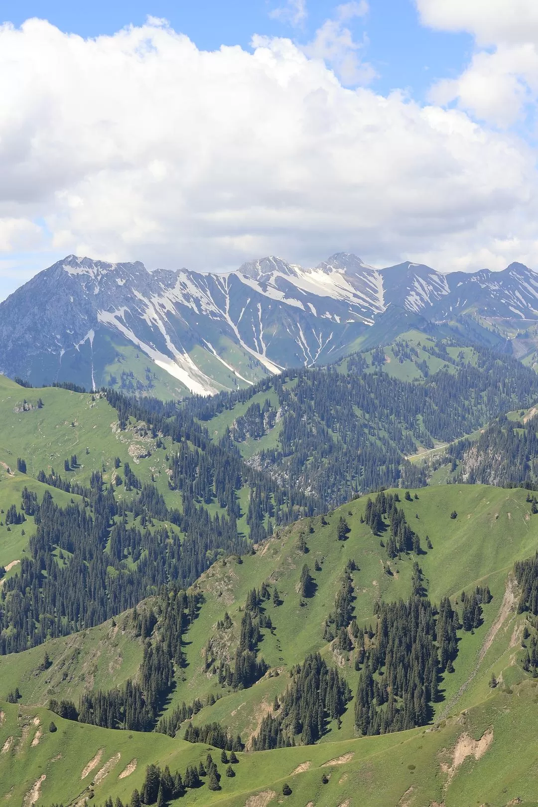 旅游推荐一人游：新📢疆伊犁：windows桌面生成器罢了