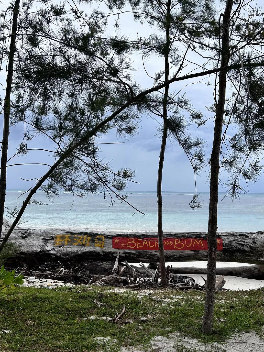 旅游推荐国外游：2024📢旅游总结 去了亚庇曼谷芭提雅印尼釜山俄罗斯（建设中
