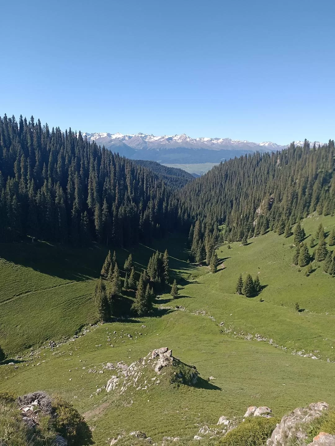 旅游推荐一人游：新📢疆伊犁：windows桌面生成器罢了