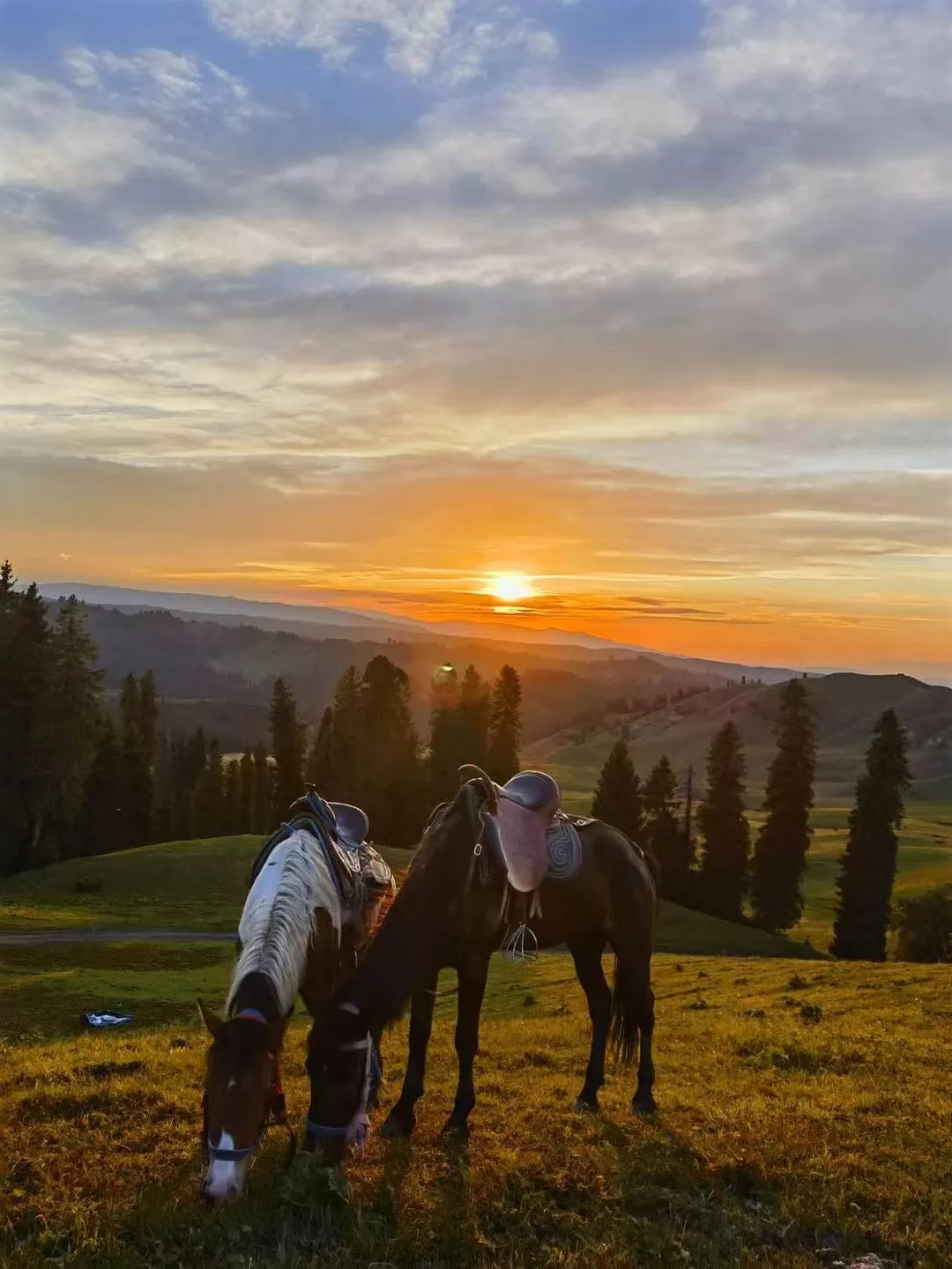 旅游推荐一人游：新📢疆伊犁：windows桌面生成器罢了
