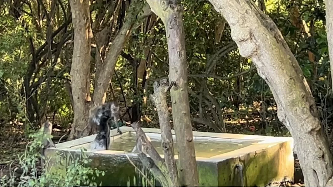 旅游推荐两人游：在⚡巴厘岛，看见生命的一百种可能🥳