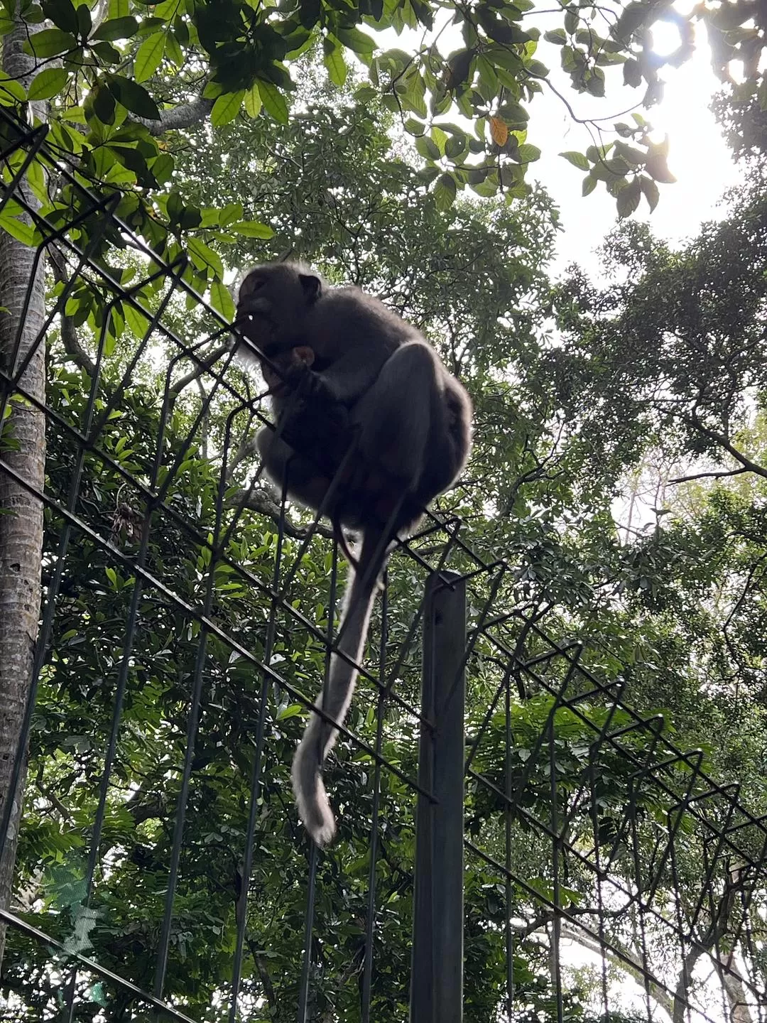 旅游推荐两人游：在⚡巴厘岛，看见生命的一百种可能🥳