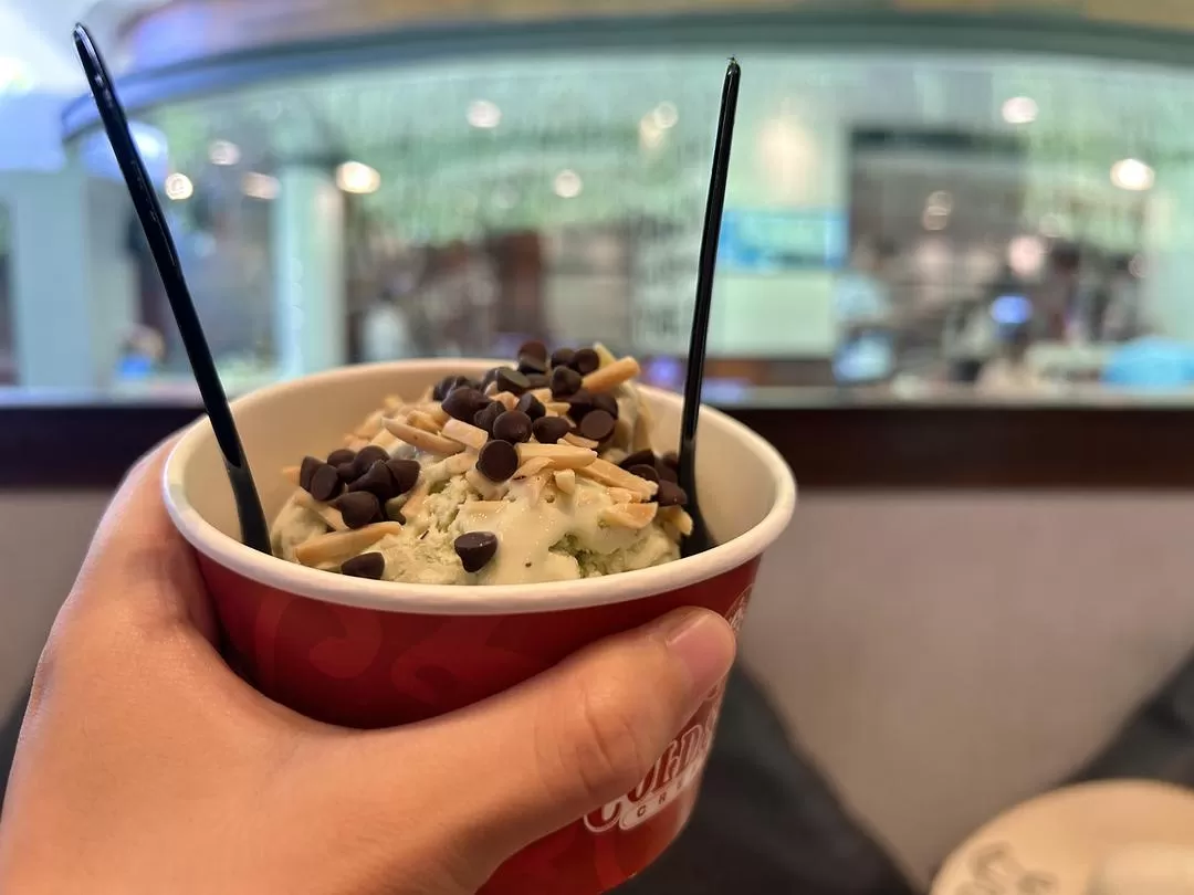 旅游推荐两人游：在⚡巴厘岛，看见生命的一百种可能🥳