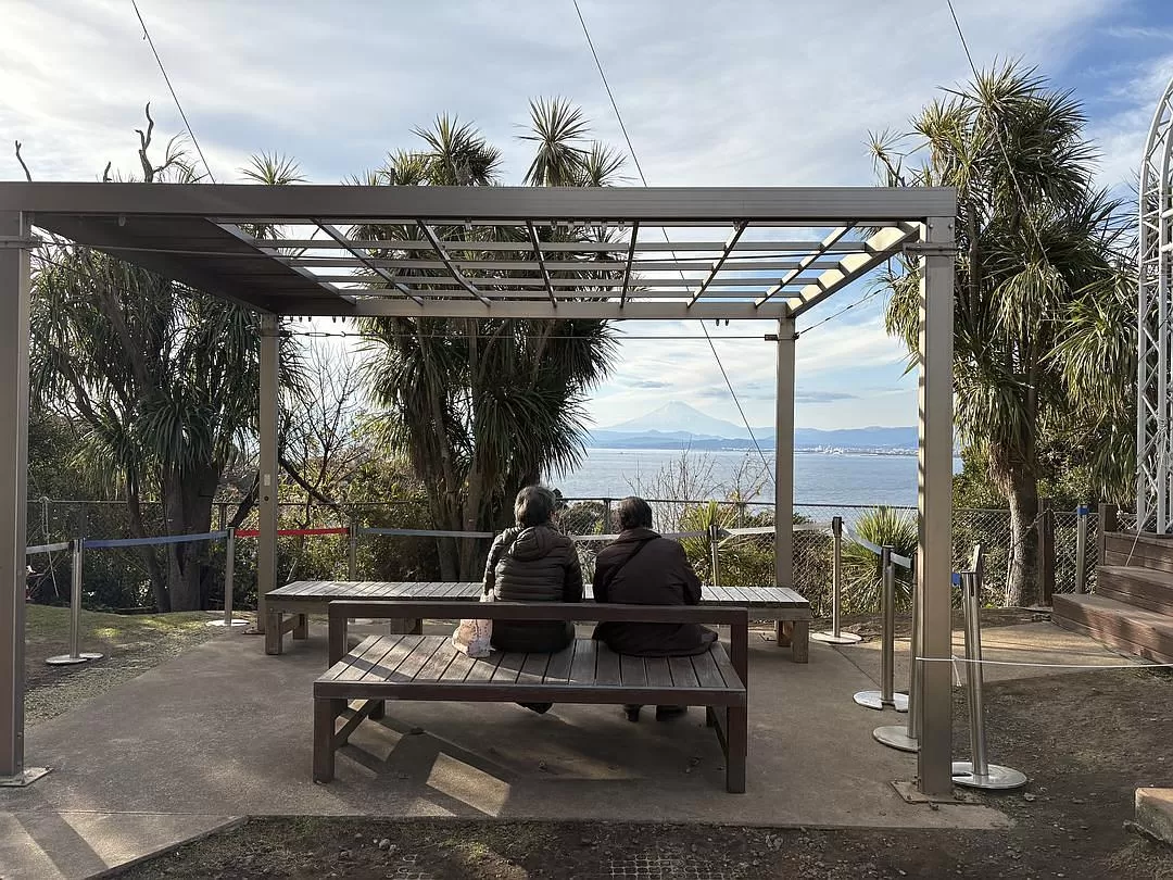 旅游推荐一人游🤬：东京六天五晚