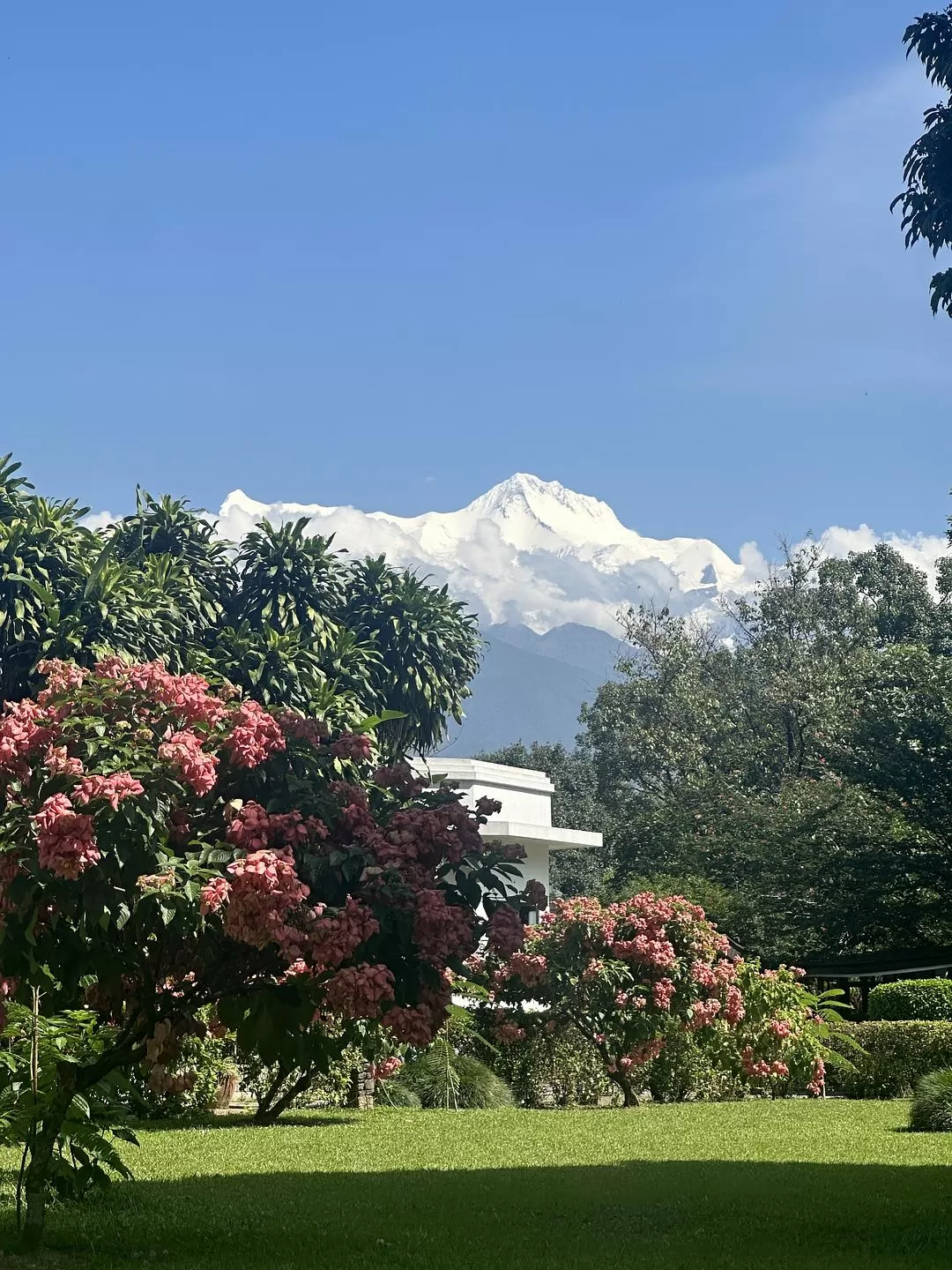 旅游推荐国💯外游:去尼泊尔看雪山