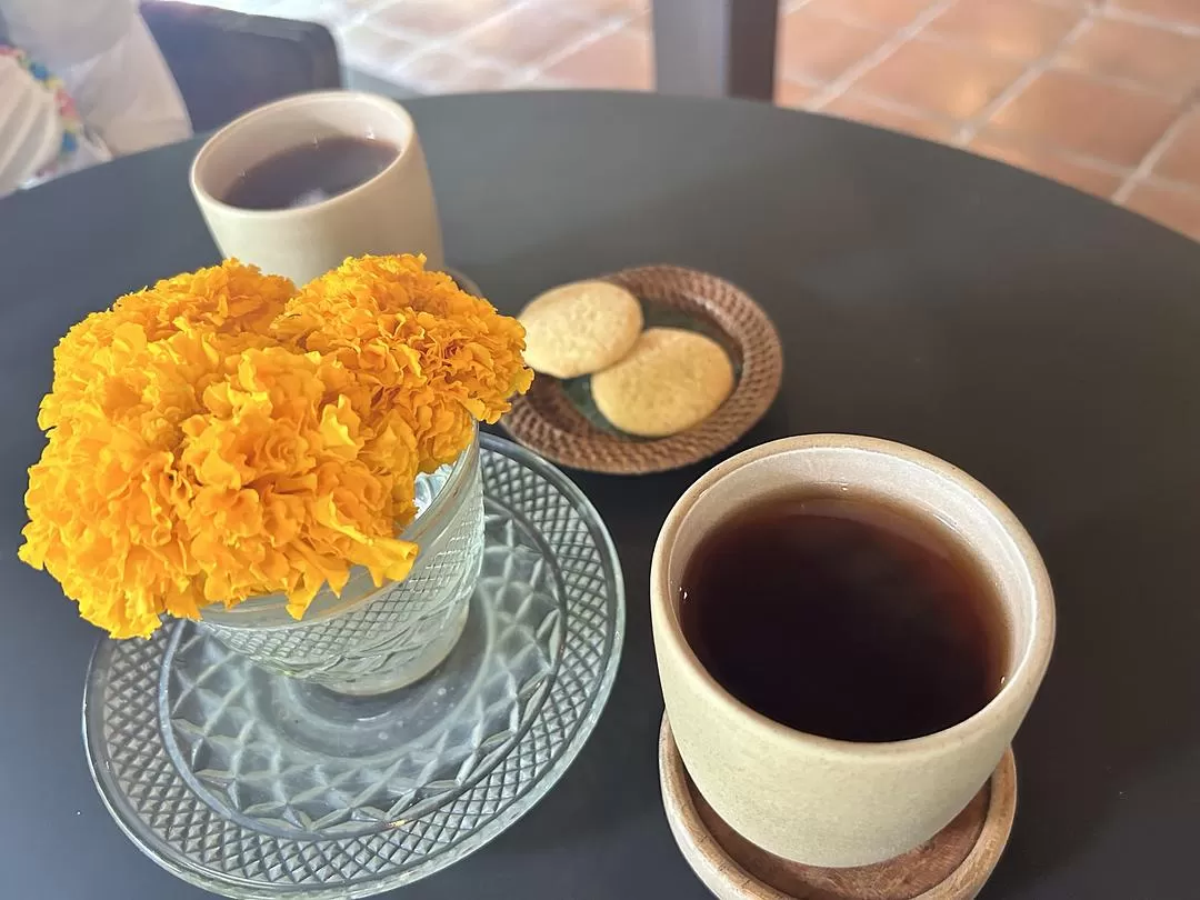 旅游推荐两人游：在⚡巴厘岛，看见生命的一百种可能🥳