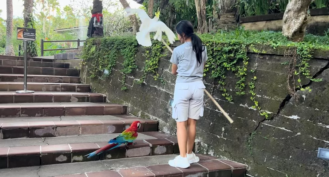 旅游推荐两人游：在⚡巴厘岛，看见生命的一百种可能🥳