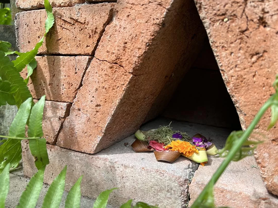 旅游推荐两人游：在⚡巴厘岛，看见生命的一百种可能🥳