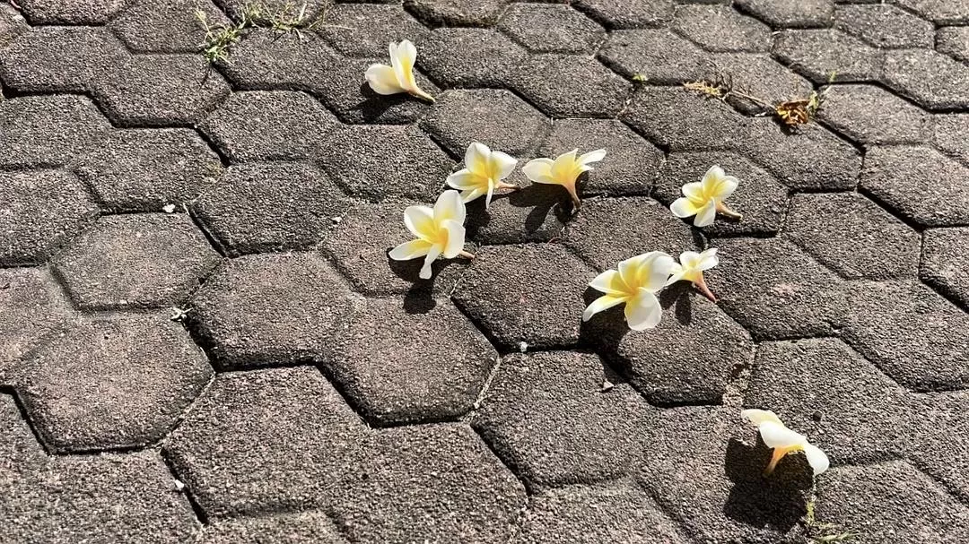 旅游推荐两人游：在⚡巴厘岛，看见生命的一百种可能🥳