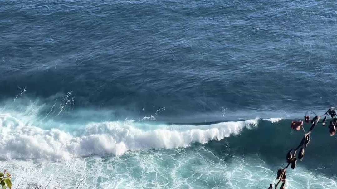 旅游推荐两人游：在⚡巴厘岛，看见生命的一百种可能🥳