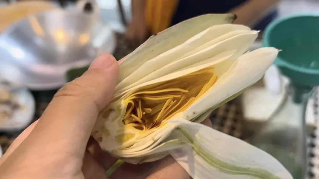 旅游推荐两人游：在⚡巴厘岛，看见生命的一百种可能🥳