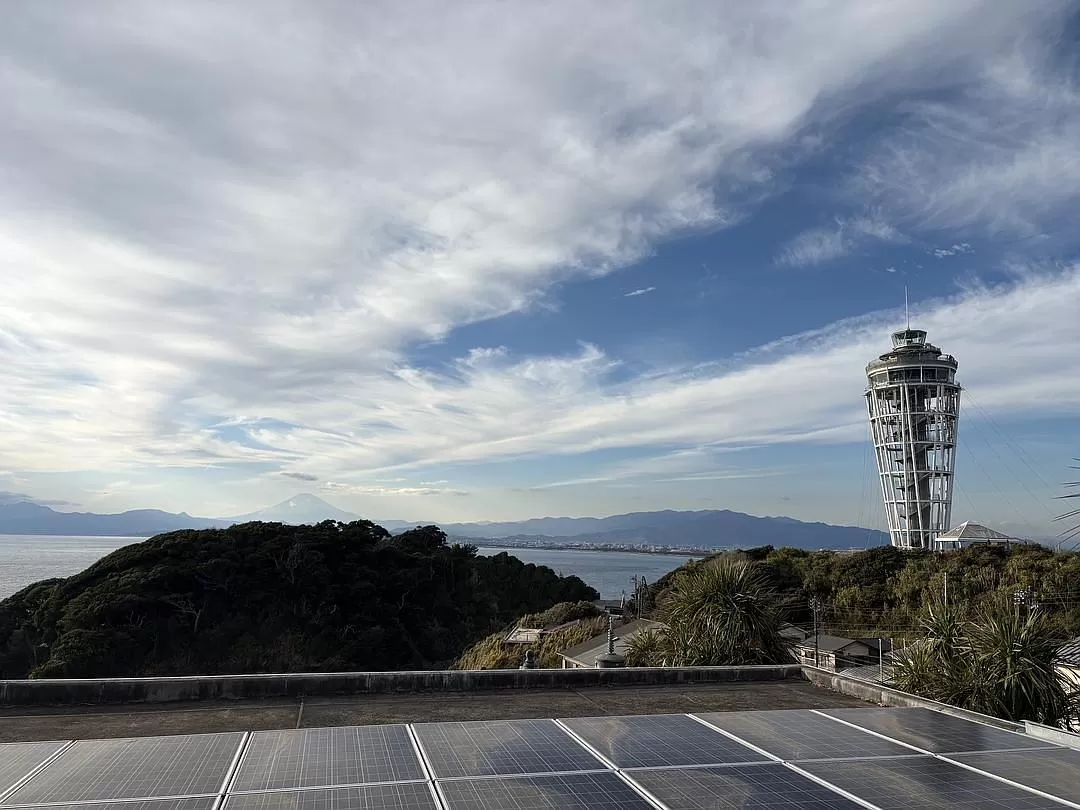 旅游推荐一人游🤬：东京六天五晚